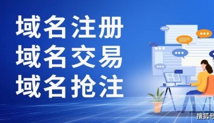 老域名买卖交易的平台