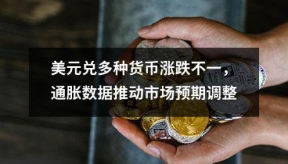 美元兑多种货币涨跌不一,通胀数据推动市场预期调整