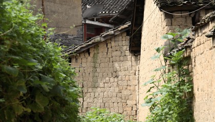 微小说:不花钱的大姐