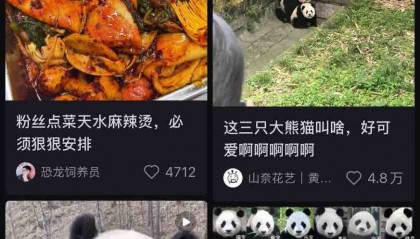 姆巴佩入驻国内社媒平台,简介强调真的会看,首日收藏天水麻辣烫和熊猫相关笔记
