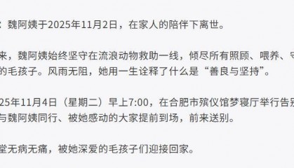合肥卖房救助流浪狗的魏阿姨离世，病中仍然惦记着基地的600只流浪狗，工人：不敢相信世上还有这样执着的人