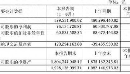 财报透视|“泡椒凤爪第一股”有友食品增收不增利 年内股价跌近四成