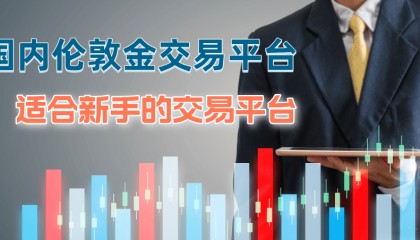 国内有哪些伦敦金交易平台比较适合新手?