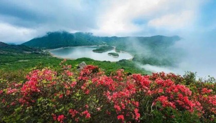 禁止任何形式穿越！杭州一地发布最严禁令