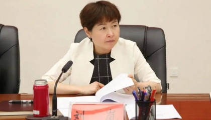 副市长刘岚,任上被查