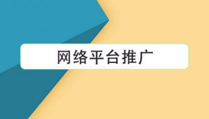 网络平台推广
