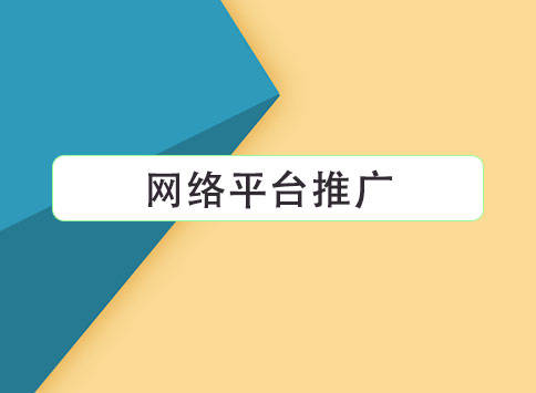 网络平台推广
