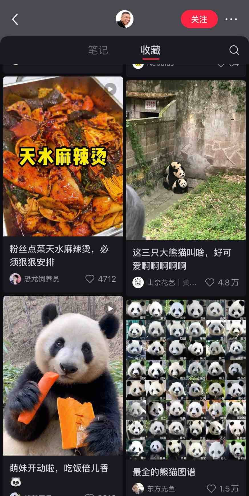 姆巴佩入驻国内社媒平台，简介强调真的会看，首日收藏天水麻辣烫和熊猫相关笔记