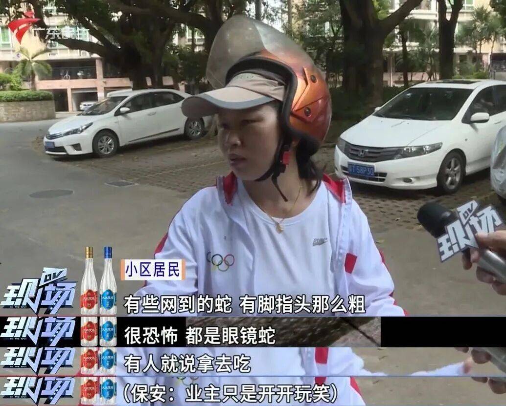 广州一小区2年抓到超60条蛇?业主:家里来过两三条,有条还钻进鞋子里