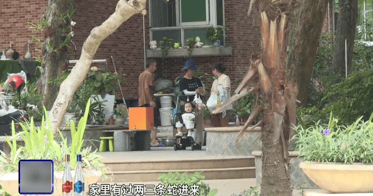 广州一小区2年抓到超60条蛇?业主:家里来过两三条,有条还钻进鞋子里