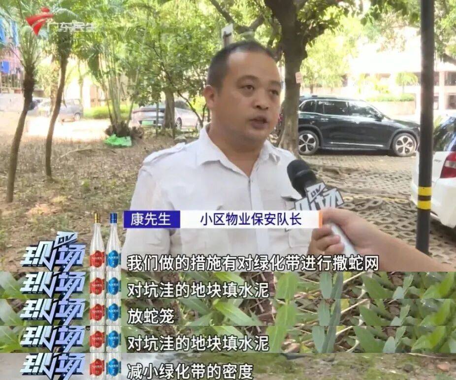 广州一小区2年抓到超60条蛇?业主:家里来过两三条,有条还钻进鞋子里