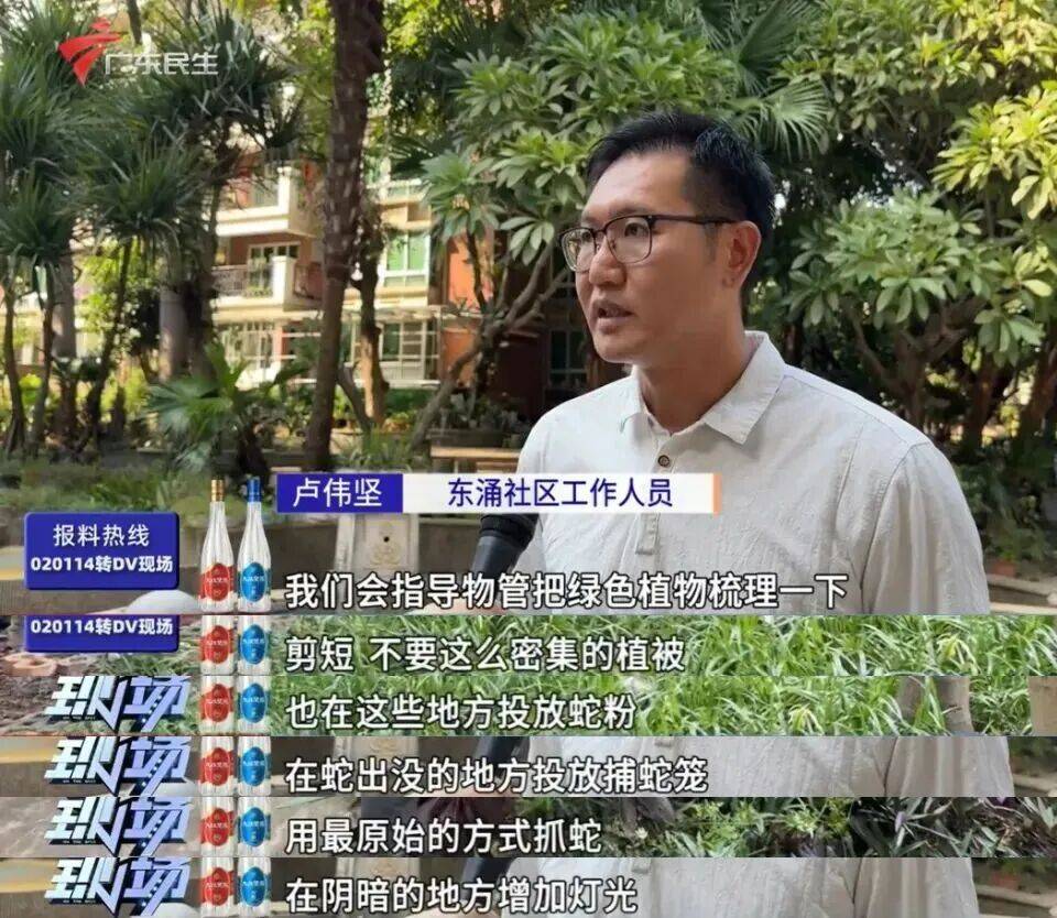 广州一小区2年抓到超60条蛇?业主:家里来过两三条,有条还钻进鞋子里