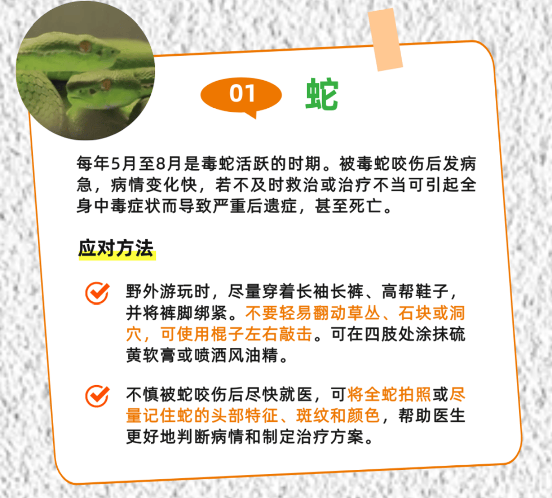 广州一小区2年抓到超60条蛇?业主:家里来过两三条,有条还钻进鞋子里