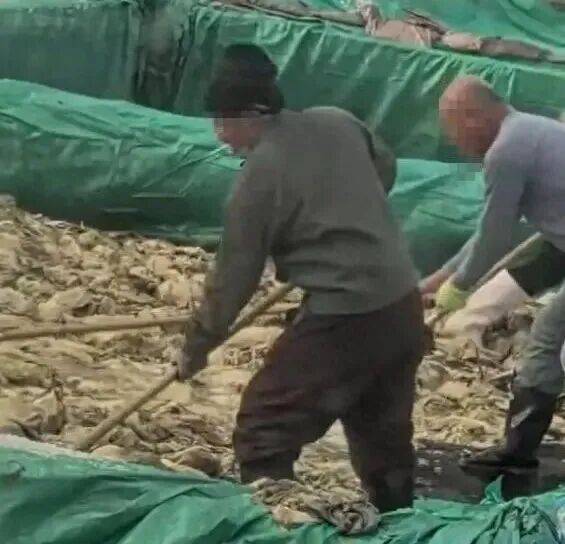 男子在酸菜池内抽烟吐痰,官方通报!