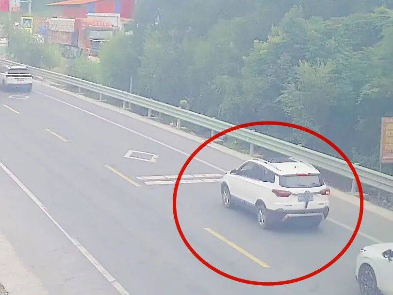 司机将两只老鼠挂后窗雨刮器上：“回家给猫吃”，交警：遮挡车牌扣9分